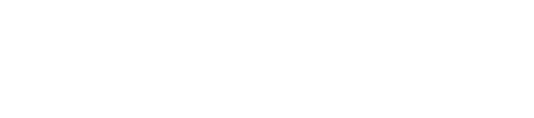 Nord Pass Logo